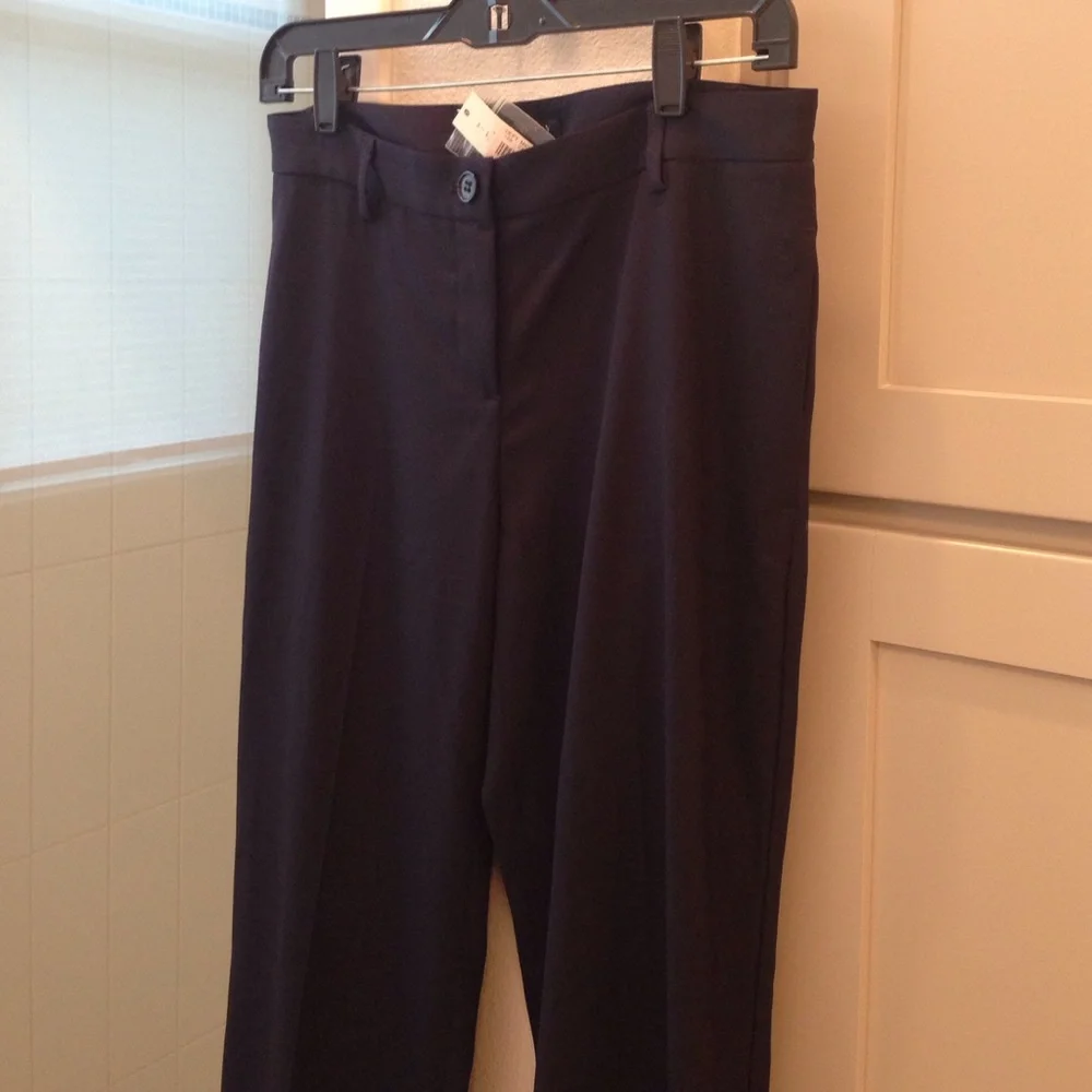 BNWT Navy Theory wool pants.